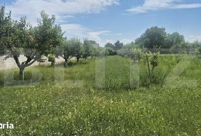 Teren de 5488 mp, în Păulești - 16