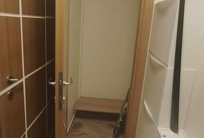 Garsonieră în Tineretului - 8