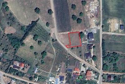 Teren Construcții intravilan de 788 mp, în Șorogari - 2