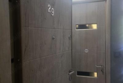 Apartament cu 2 camere semidecomandat în Pieptănari