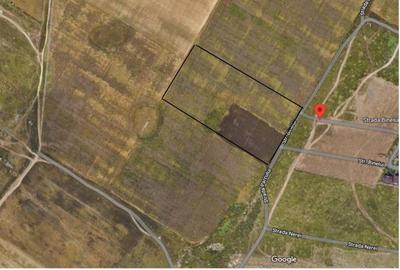 Teren intravilan de 16500 mp, în Dobroești - 4