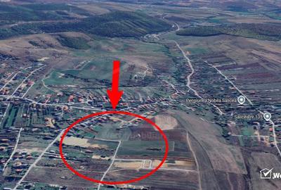 Teren agricol extravilan de 1500 mp, în Sălicea - 6