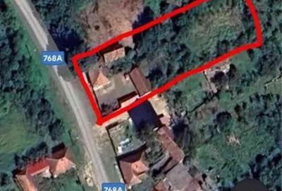 Casă cu 4 camere cu Teren 1788 Mp în Căpâlna - 3