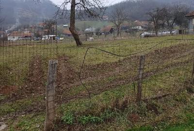 Teren de 1800 mp, în Căinelu de Sus - 4
