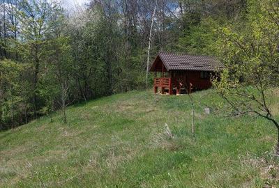 Casă cu 6 camere cu Garaj în Bascov - 5