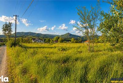 Teren de 5750 mp, în Ibănești
