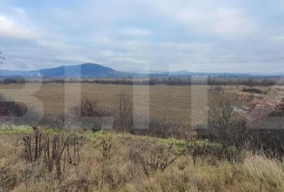 Teren de 5100 mp, în Voșlăbeni
