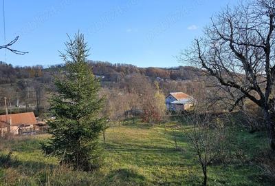 Casă cu 3 camere cu Teren 6772 Mp în Ursoaia - 2