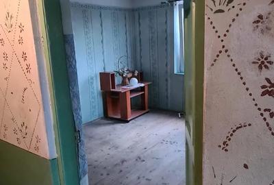 Casă cu 7 camere cu Teren 2424 Mp în Coteana - 8