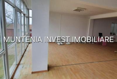 Spațiu comercial, de 672 mp, în Mărăcineni - 9