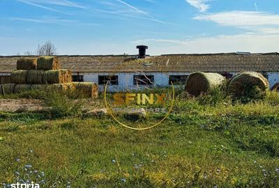 Teren de 62000 mp, în Central