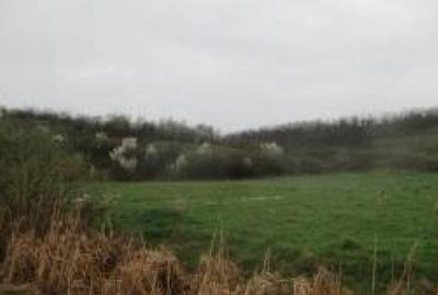 Teren agricol extravilan de 5900 mp, în Hălchiu - 2