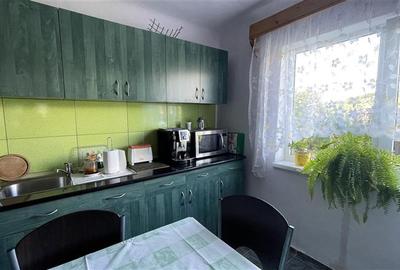 Casă individuală cu 3 camere cu Teren 2500 Mp în Ulieș - 20