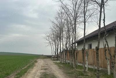 Teren de 2000 mp, în Vasile Alecsandri - 1