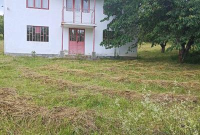 Casă individuală cu 4 camere cu Teren 12530 Mp în Panticeu - 6