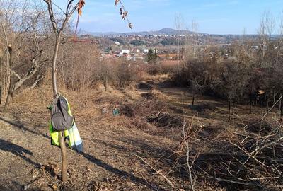 Teren de 4200 mp, în Central - 3