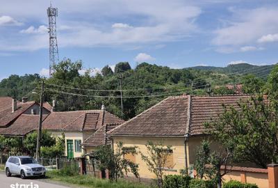 Casă cu 4 camere cu Teren 864 Mp în Bârzava - 8