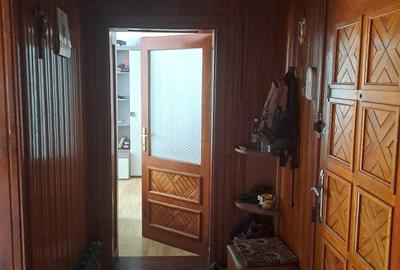 Apartament cu 2 camere decomandat în Pecinișca - 5