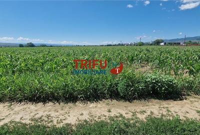 Teren agricol extravilan de 5100 mp, în Periferie