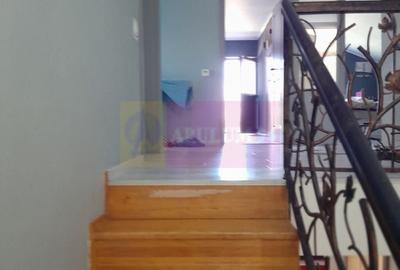 Casă individuală cu 5 camere cu Teren 958 Mp în Tineretului - 56