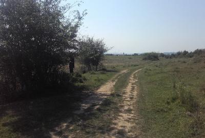 Teren Construcții extravilan de 3500 mp, în Bălești - 8