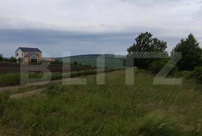 Teren în Valea Lupului
