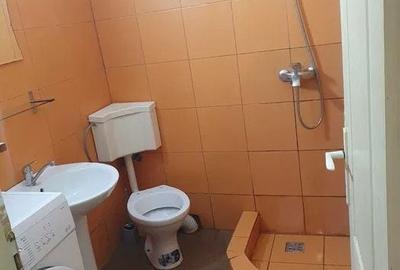 Garsonieră în Sub Arini - 3
