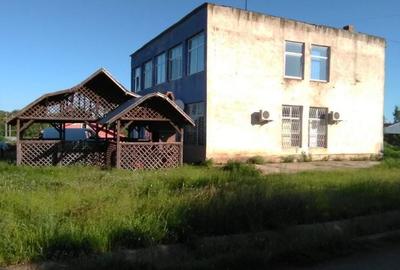 Spațiu comercial, de 800 mp, în Făurei