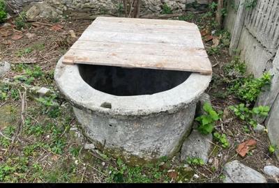 Teren de 6980 mp, în Dobrița - 1