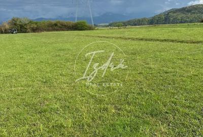 Teren agricol extravilan de 2300 mp, în Tălmaciu