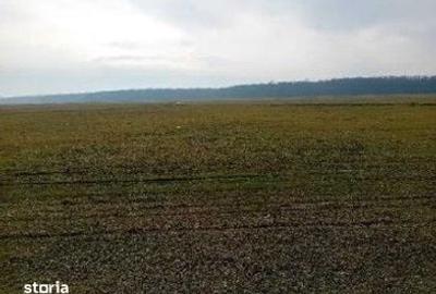 Teren de 635 mp, în Hârsești - 9