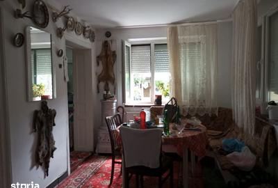 Casă cu 3 camere cu Teren 3320 Mp în Căpușu Mare - 2