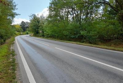 Teren Construcții intravilan de 5561 mp, în Calea Caransebeșului - 1