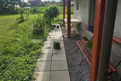 Casă cu 3 camere decomandat cu Teren 725 Mp în Săbed - 5