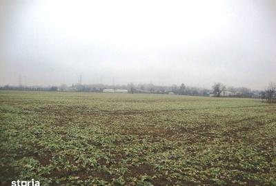 Teren de 2306 mp, în Cocorăștii Mislii - 4