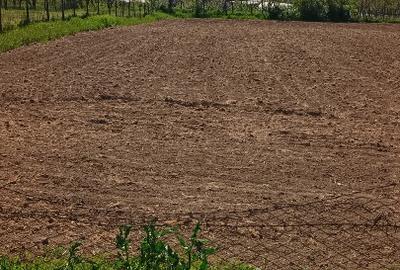 Teren Construcții intravilan de 1500 mp, în Valea Nucarilor
