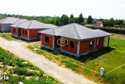Casă cu 4 camere cu Teren 410 Mp în Bercu Roșu
