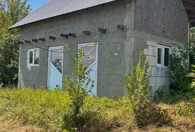 Casă cu 2 camere în Moșoaia - 4
