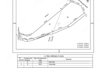 Teren de 3333 mp, în Rucăr - 1