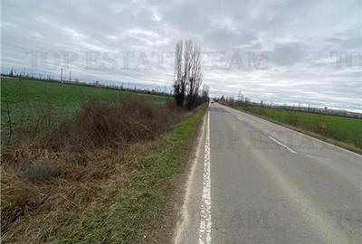 Teren agricol extravilan de 60600 mp, în Berceni - 2