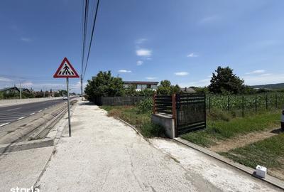Casă cu 5 camere cu Teren 3969 Mp în Mărăcineni - 3