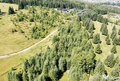Teren de 4000 mp, în Dorna-Arini - 2