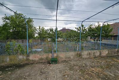 Casă cu 4 camere cu Teren 1500 Mp în Urzica - 1