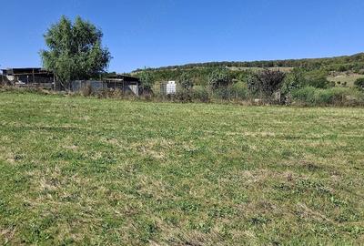 Teren de 2500 mp, în Sfăcăru