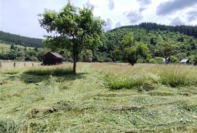 Casă individuală cu 2 camere cu Canalizare în Tulgheș - 27