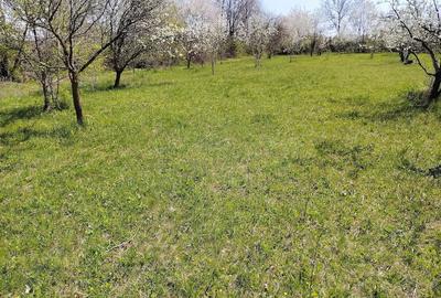 Teren de 1400 mp, în Bănești