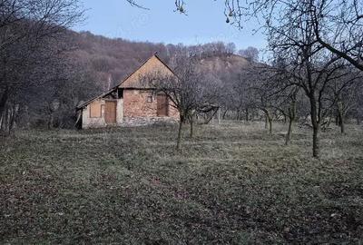 Teren de 6937 mp, în Sălătrucu - 1