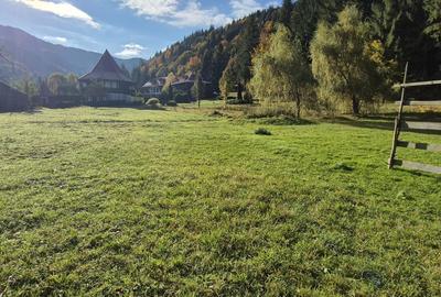 Teren de 4096 mp, în Tarcău - 4