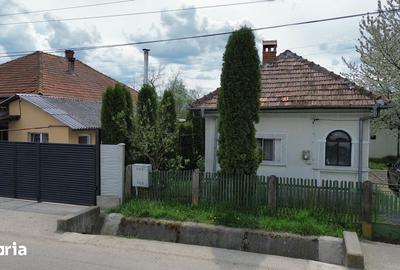 Casă cu 3 camere cu Teren 1320 Mp în Stâlpeni - 9