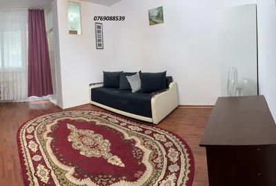 Garsonieră în Costin Georgian